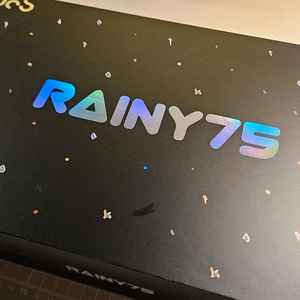 레이니 키보드 치즈화이트 중옵 판매(택포)