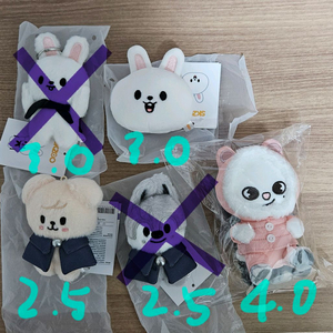 스트레이키즈, 스키주 판매(탈덕, 미사용 완전새거)