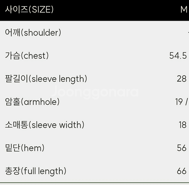 여성 린넨 카라셋업(44~55반)--3