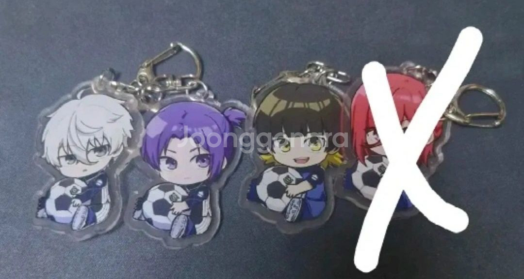 (당일접수!싸게 팔아요!)블루록 누이 및 여러 굿즈--2