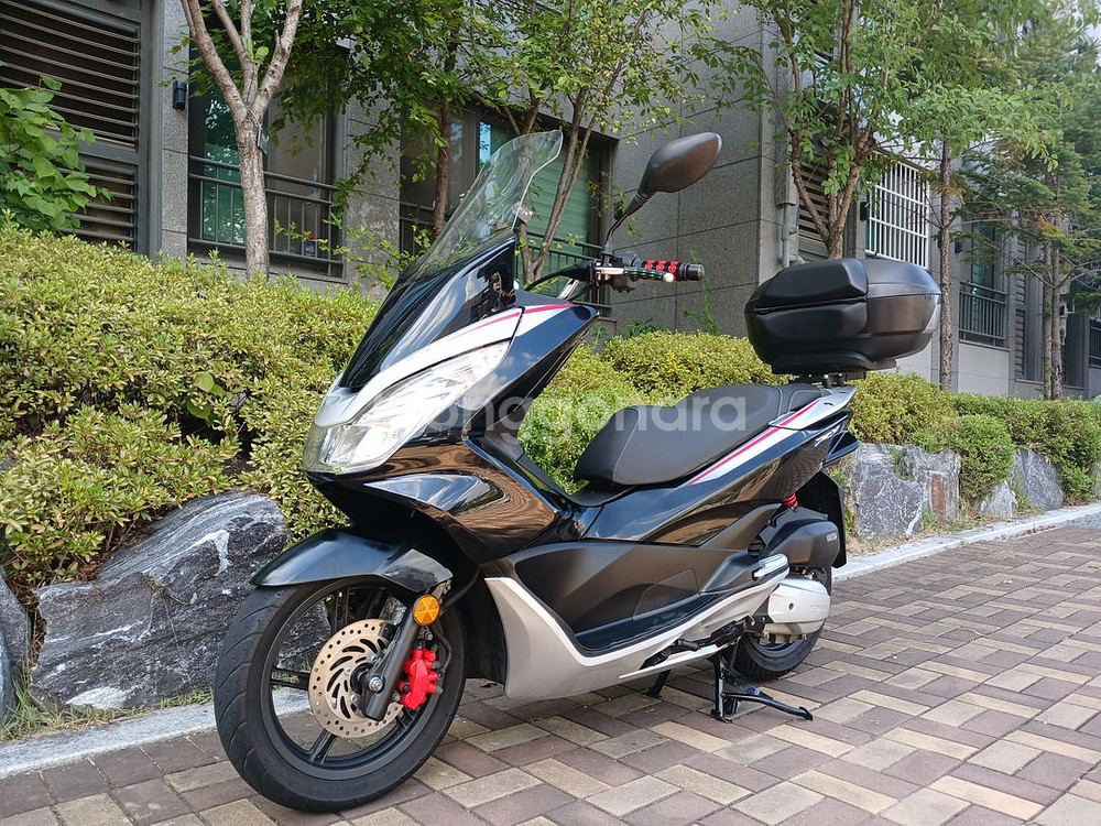 PCX125 2018년식 8,487km--2