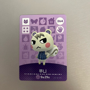 모동숲 아미보 쭈니