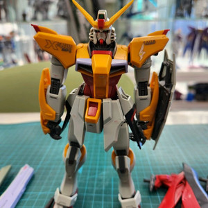 MG 데스티니 하이네기 건담 중국한정