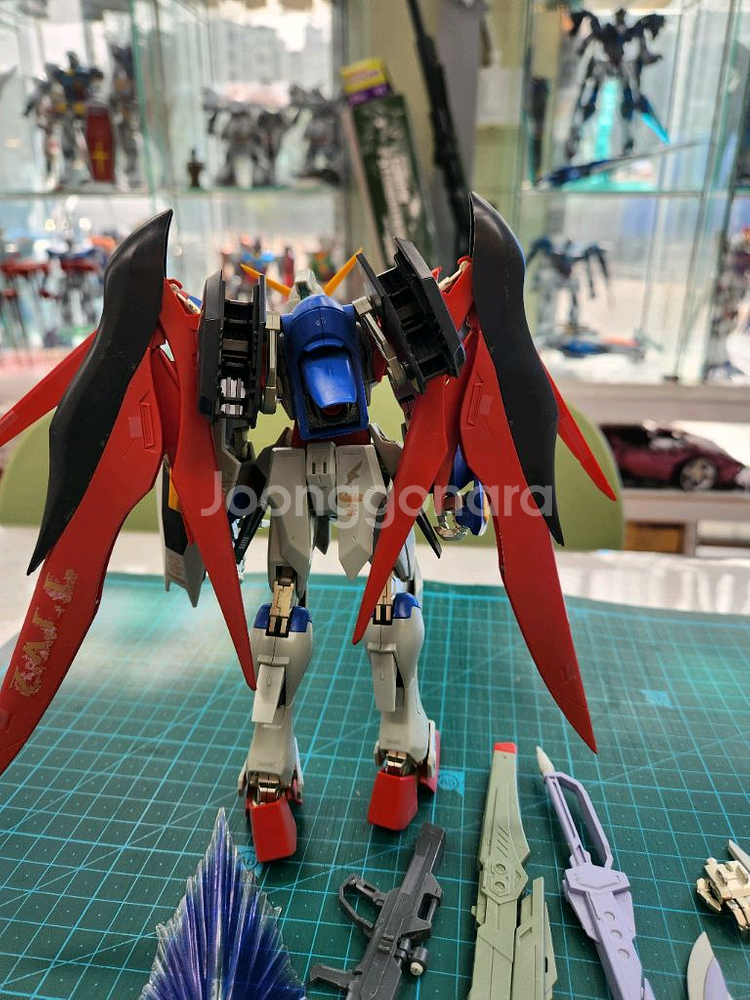 MG 데스티니 건담--2