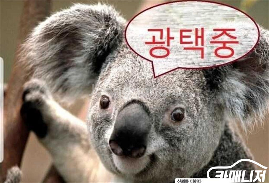 [KG모빌리티(쌍용) ]코란도투리스모 4WD TX 플러--0