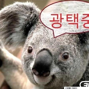 [KG모빌리티(쌍용) ]코란도투리스모 4WD TX 플러