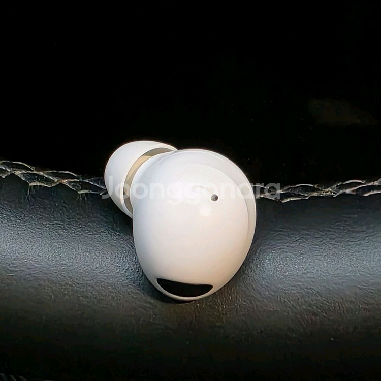 버즈2프로 오른쪽 S급--0