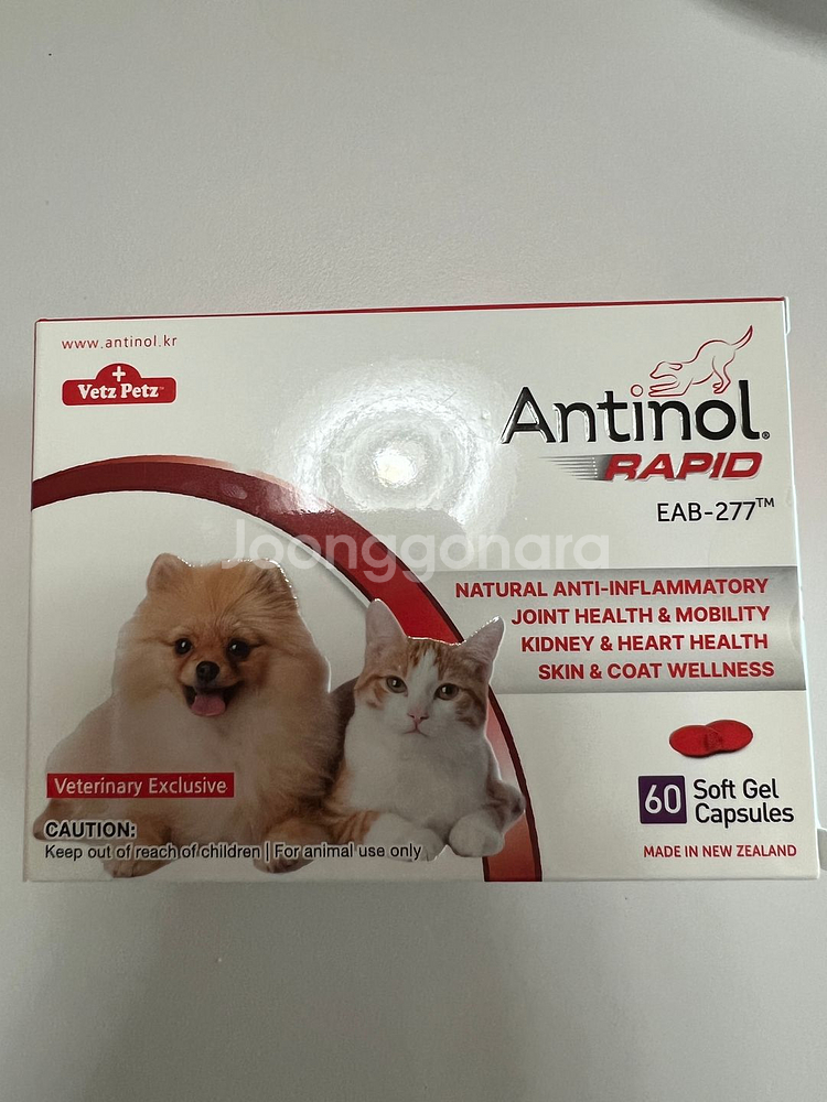 안티놀 60캡슐 2팩--0