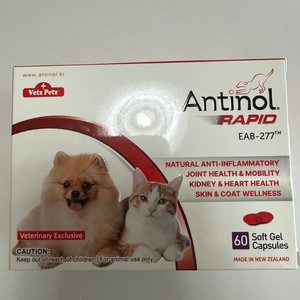 안티놀 60캡슐 2팩