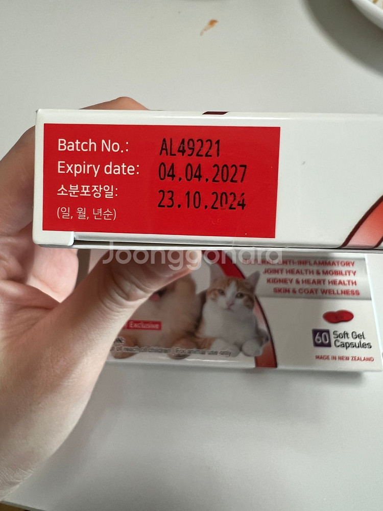 안티놀 60캡슐 2팩--1