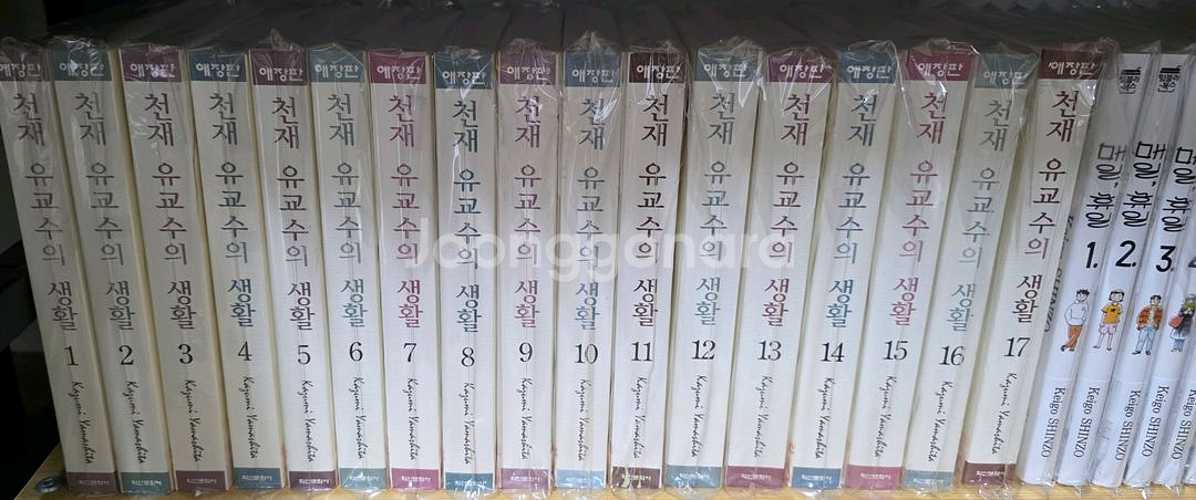 천재유교수의 생활 애장판 전권--0