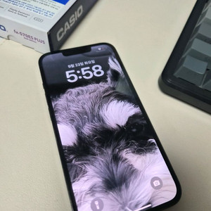 아이폰13프로 128기가 그라파이트