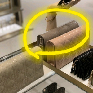 레이디 디올 woc 파우치