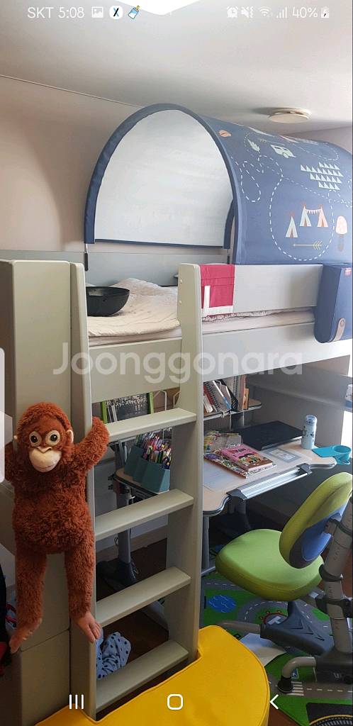 니스툴그로우 2층침대--1