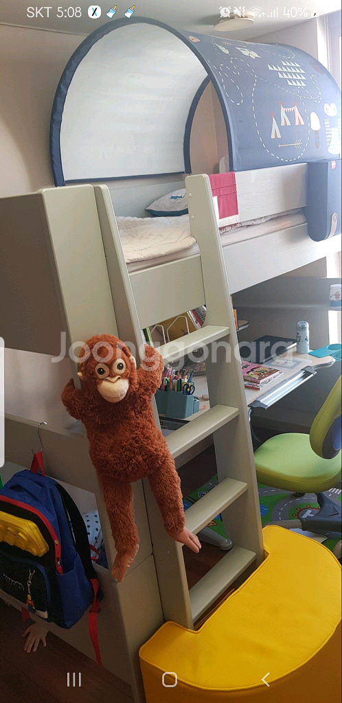 니스툴그로우 2층침대--3