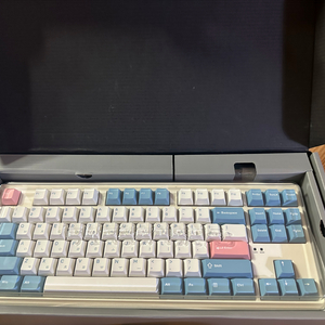 펀키스 FL-ESPORTS X80 FL 리치베리축 판매