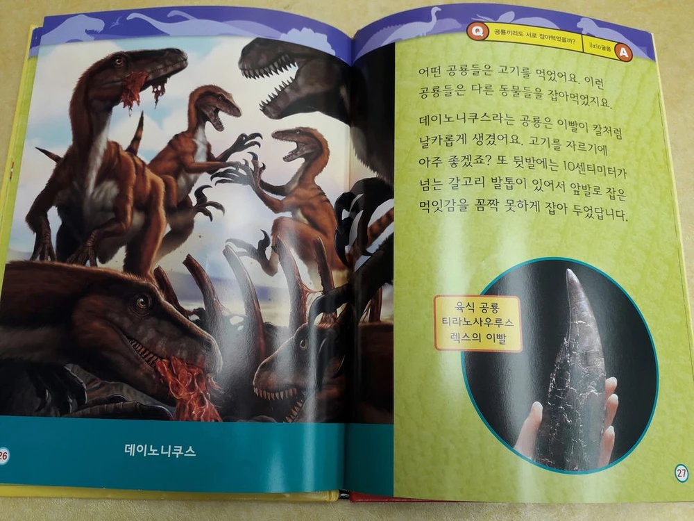내셔널 지오그래픽 키즈 전 25권 이미지