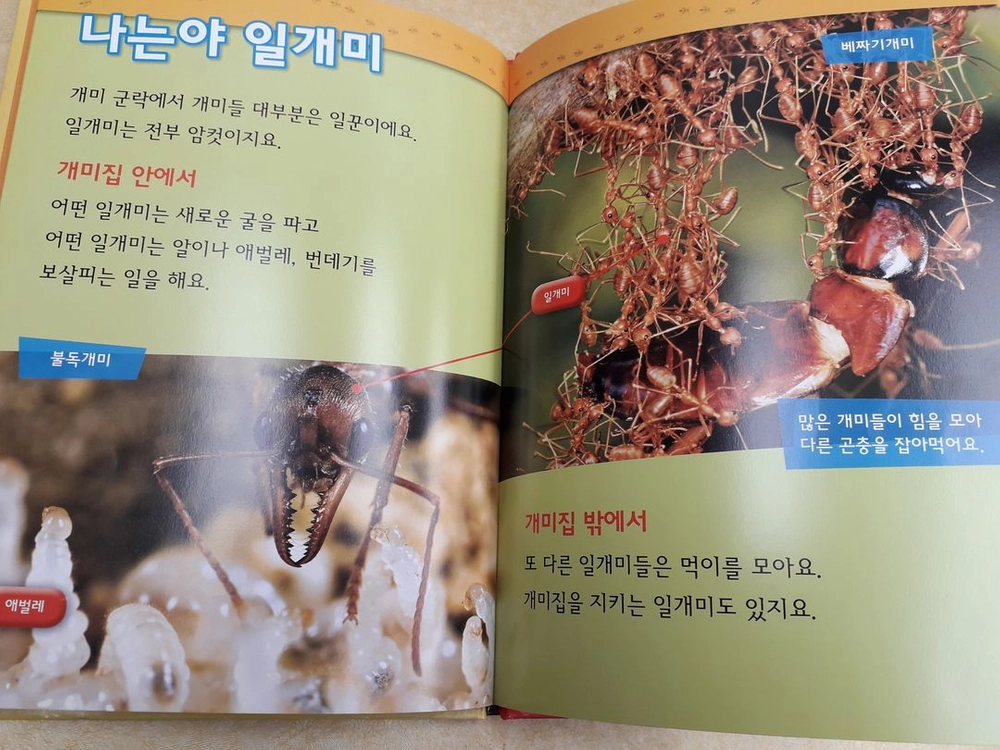 내셔널 지오그래픽 키즈 전 25권 이미지