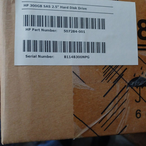 HP300GB 10K 6G 2.5 SAS DP HDD