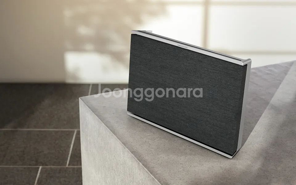 B&O 뱅앤올룹슨 레벨 블루투스 스피커 팝니다.--1