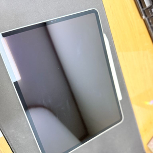 아이패드 프로3세대 12.9 256gb 셀룰러