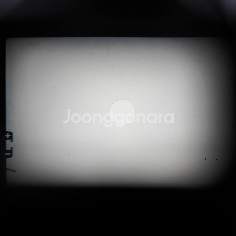 올림푸스 OM-1 블랙 + 50mm F1.4--8