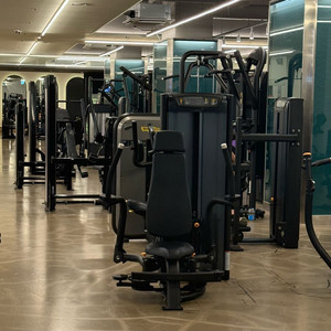 매트릭스 펙덱플라이