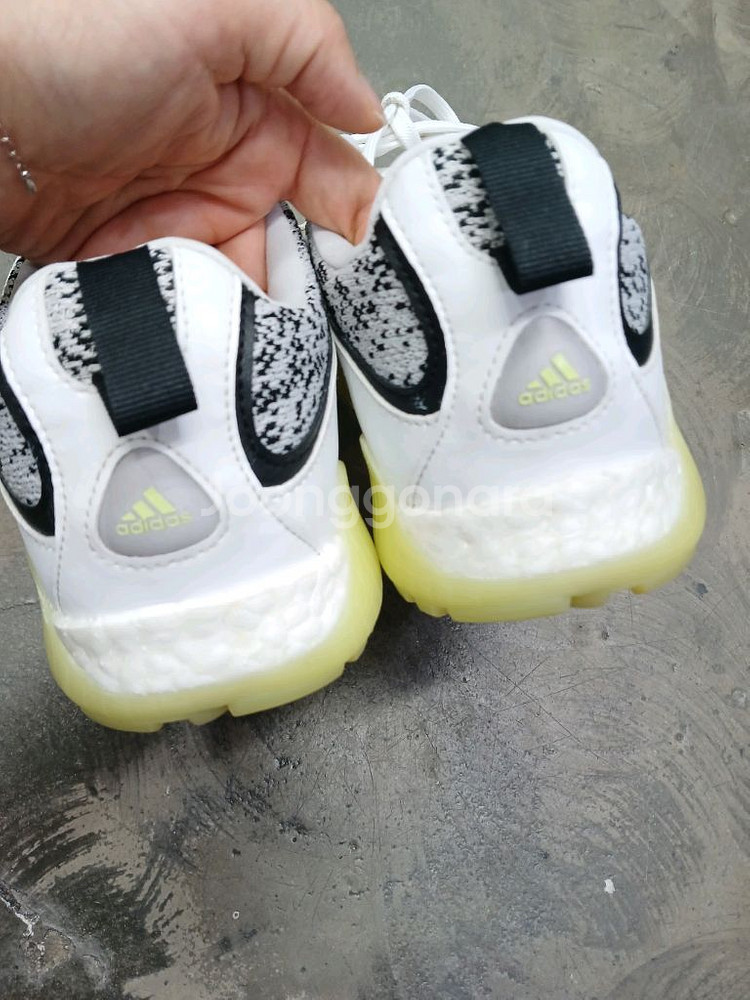 남자 아디다스 프라임블루 골프신발44표기--4