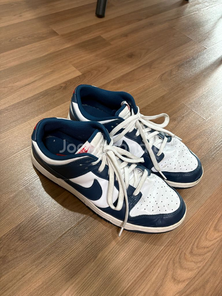 나이키 덩크 로우 레트로 발레리안 블루(300)--0