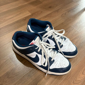 나이키 덩크 로우 레트로 발레리안 블루(300)