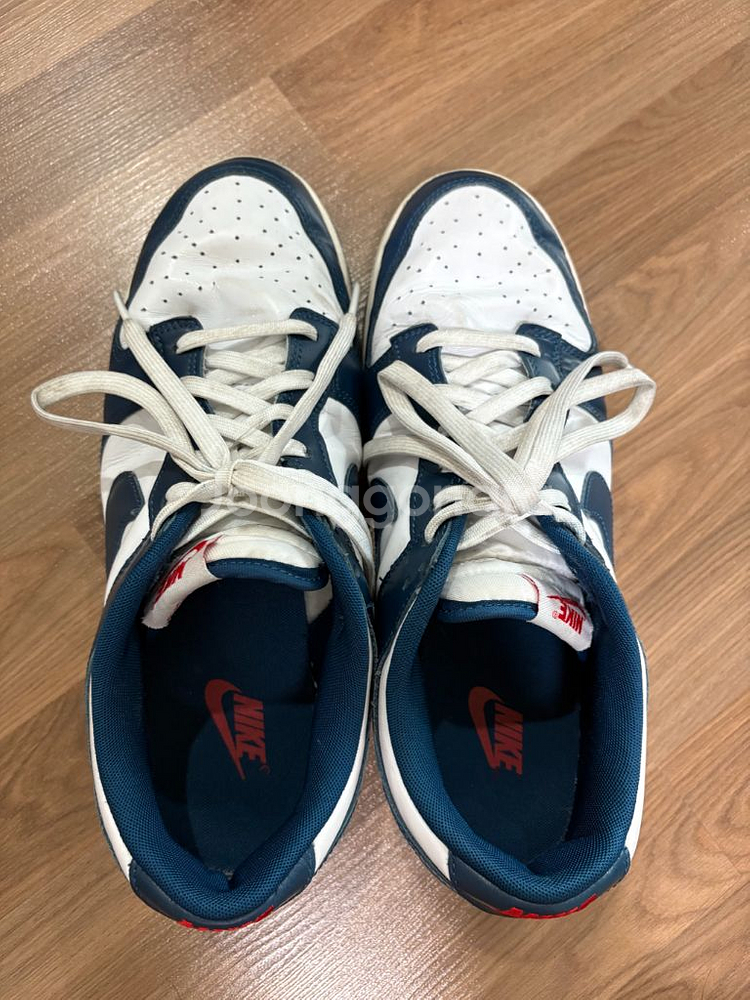 나이키 덩크 로우 레트로 발레리안 블루(300)--1