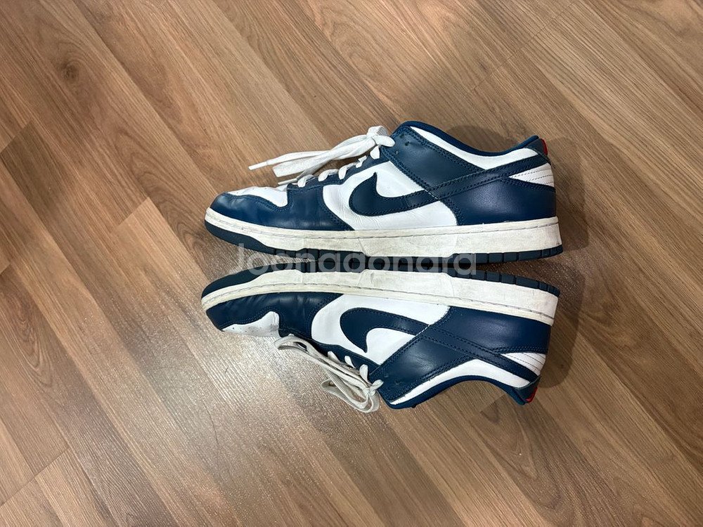 나이키 덩크 로우 레트로 발레리안 블루(300)--3