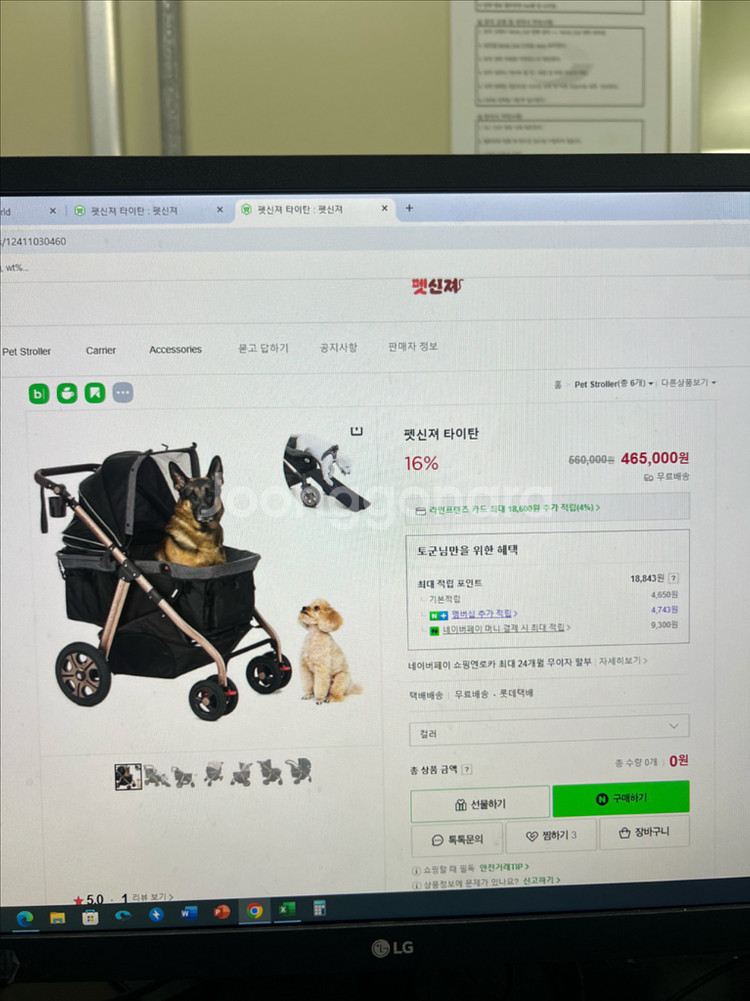 펫긴져 강아지 유모차--0