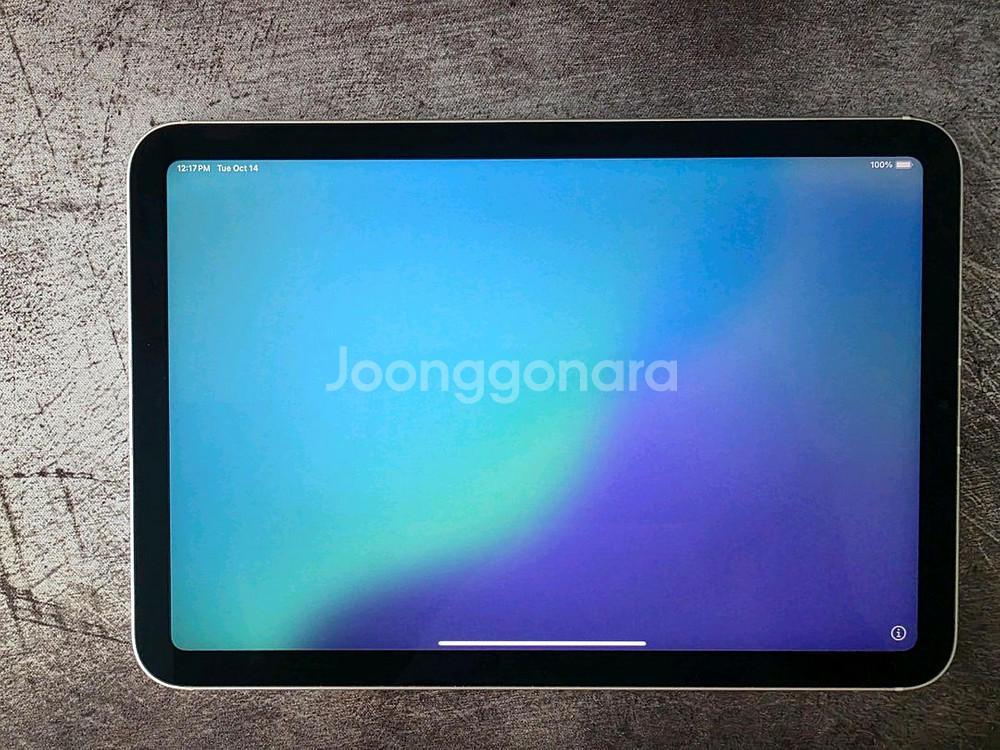 iPad mini 6 256GB 셀룰러 스타라이트--1