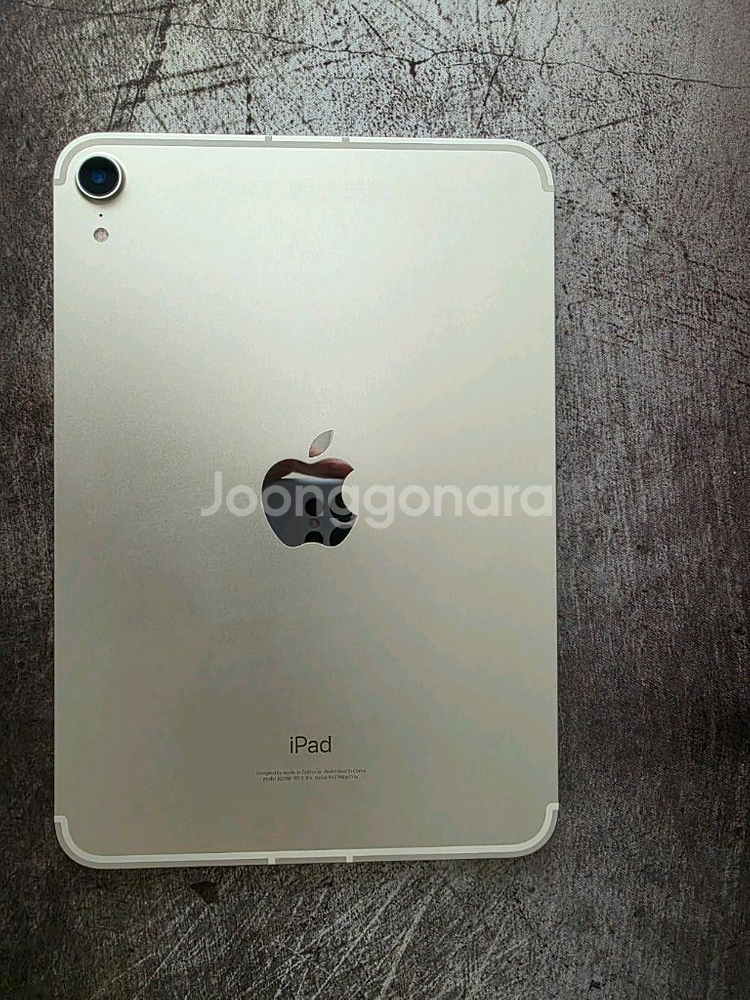 iPad mini 6 256GB 셀룰러 스타라이트--6