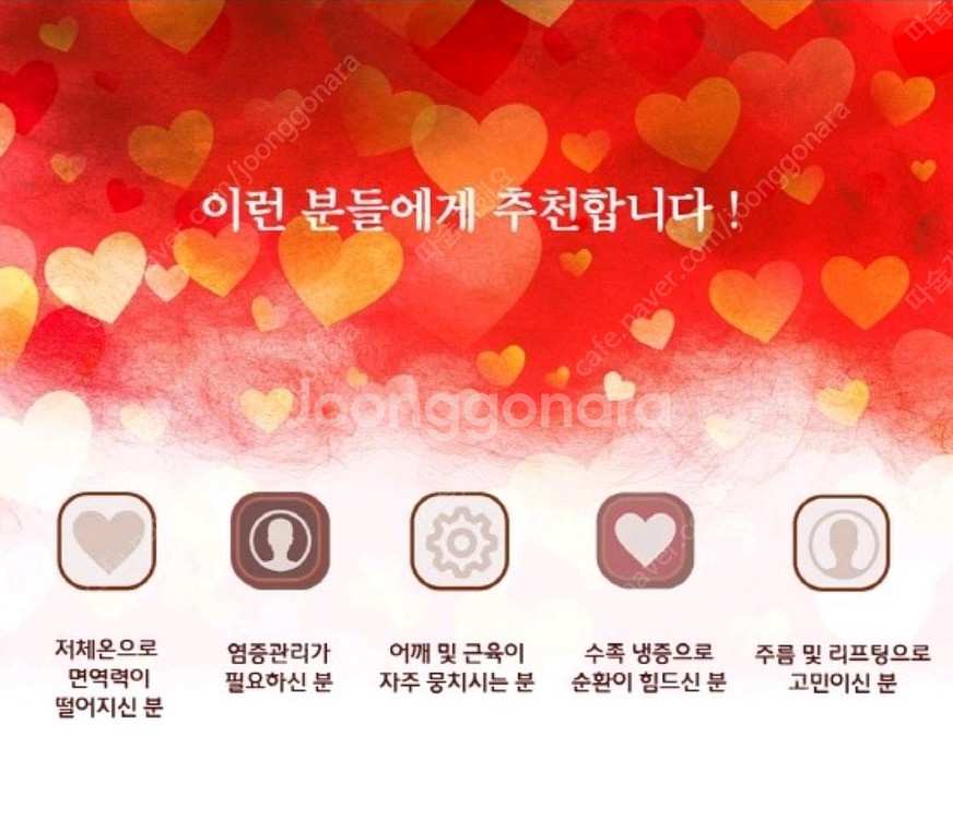 고주파 심부온열기 휴그린 발열기--3