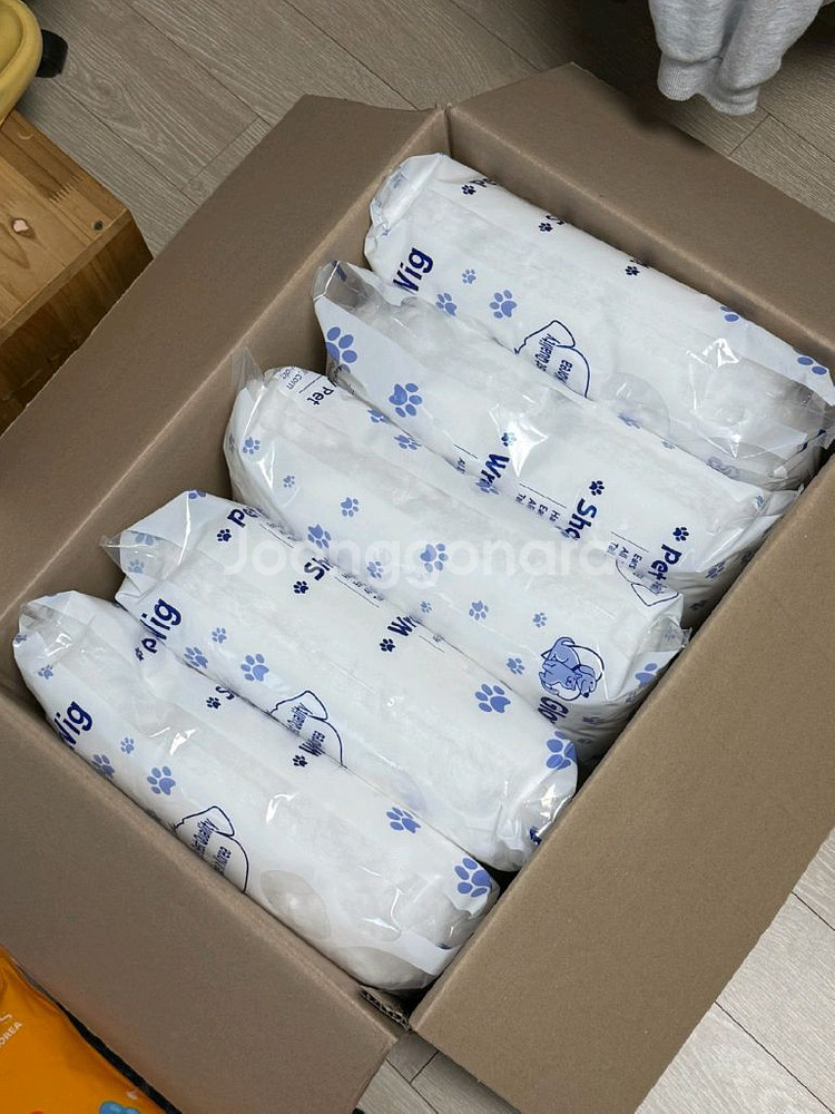 글로리펫위그 애견미용 3급2급 위그 팝니다.--0