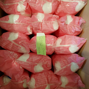 탑독위그 애견미용 3급2급 애견미용위그 팝니다