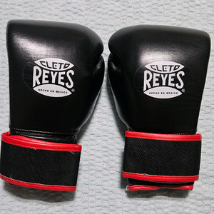 레예스14온스 엑스트라 패딩팝니다.