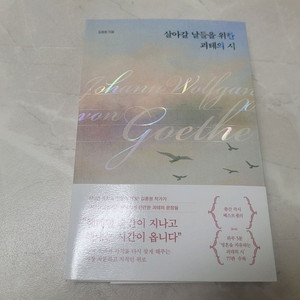 살아갈 날들을 위한 괴테의 시(도서, 책)