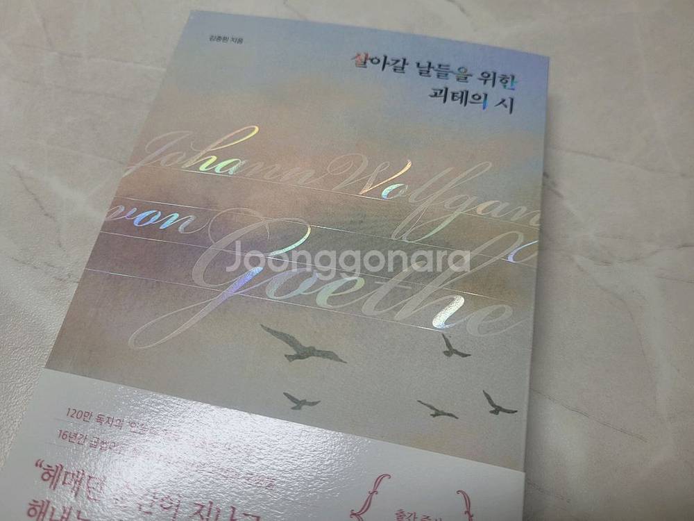 살아갈 날들을 위한 괴테의 시(도서, 책)--1