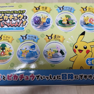 포켓몬센터 한정 피카츄와함께 테라리움