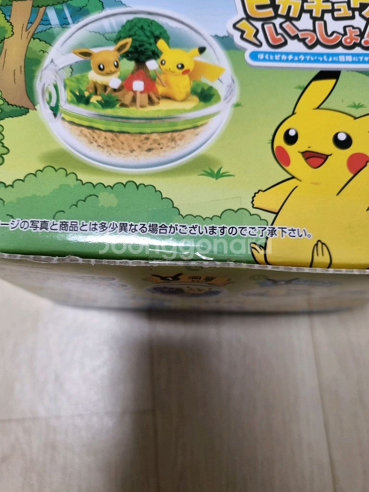 포켓몬센터 한정 피카츄와함께 테라리움--2