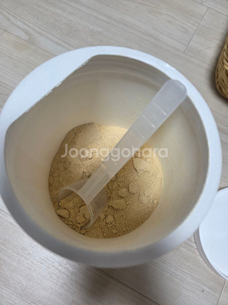 [단백질 파우더] 홀블렌딩 식물단백 파우치, 대용량--6