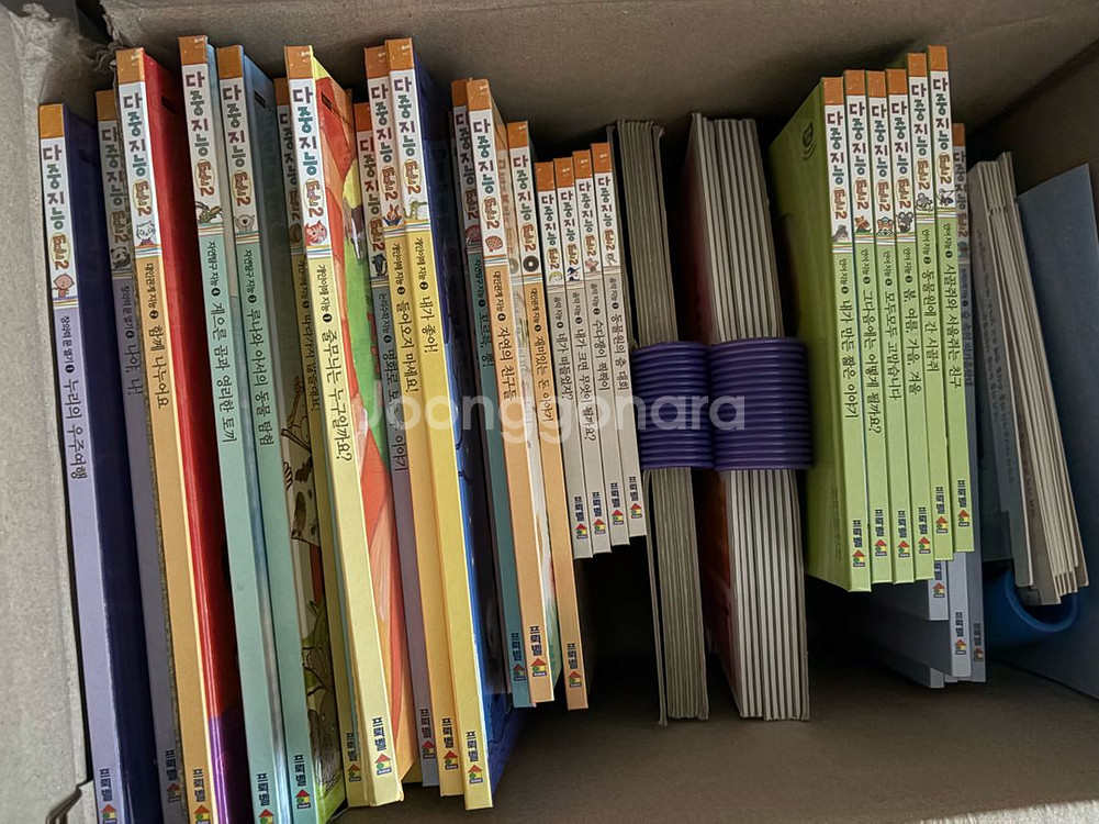 프뢰벨 다중지능 에듀2--0