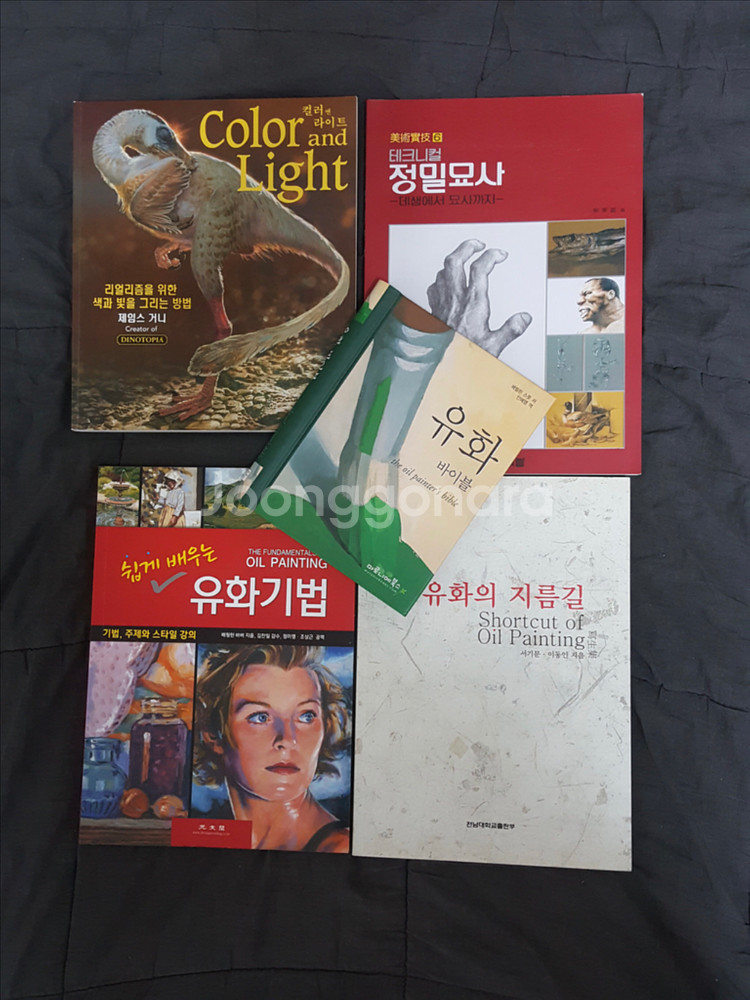 컬러앤라이트 테크니컬정밀묘사 유화 서적판매--0