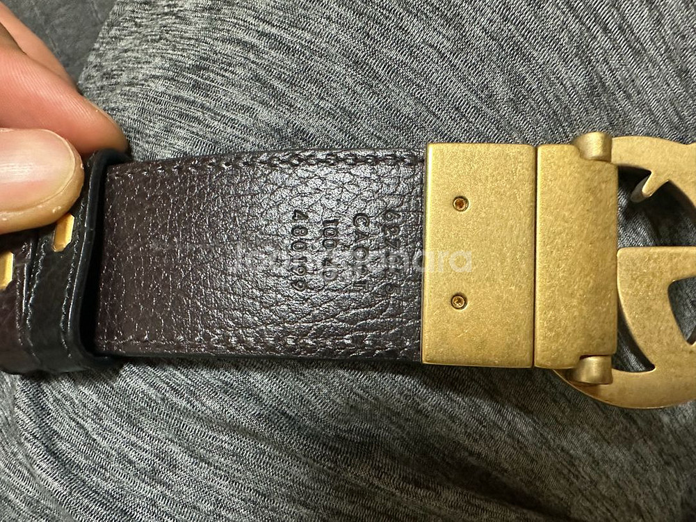 구찌 마몬트 벨트--3