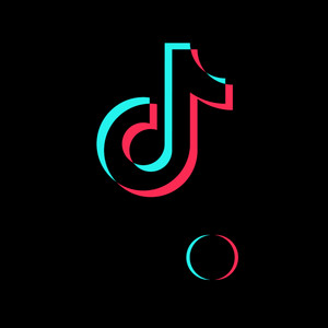 틱톡 후원자 레벨 31 이미지