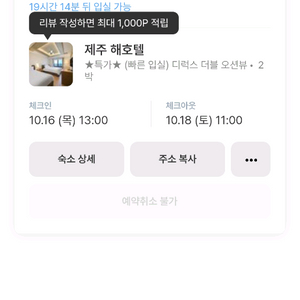 제주도 숙소 급처 16~18 이미지