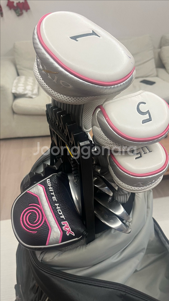 젝시오 보르도 여성용 골프채 풀세트--1